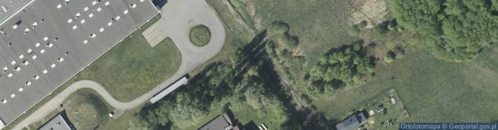 Zdjęcie satelitarne Gobi