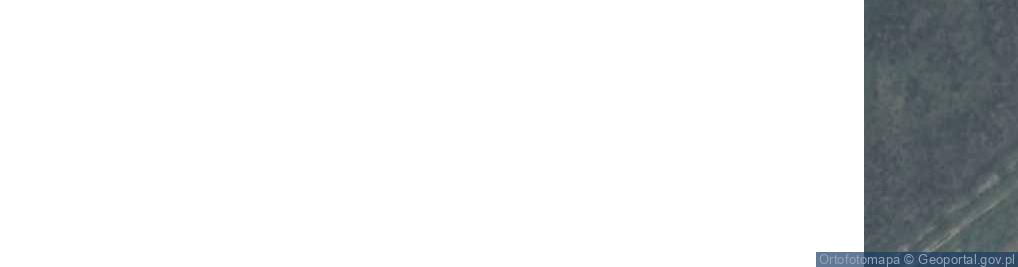 Zdjęcie satelitarne Gospod Specjalistyczne Hodowla Drobiu Urszula i Włodzimierz Tuchołka