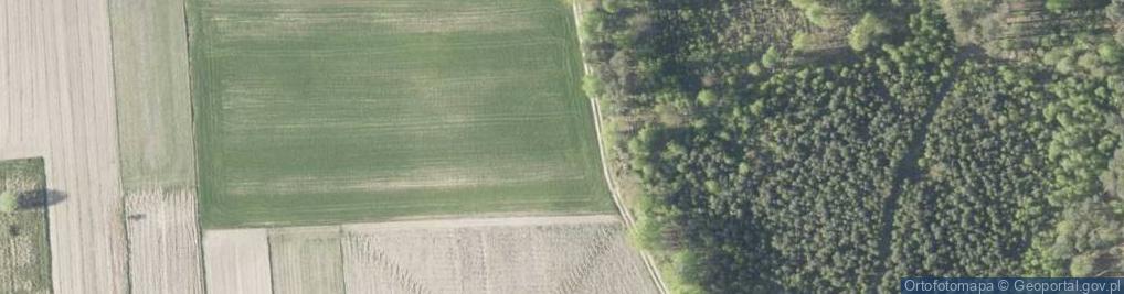 Zdjęcie satelitarne Gospodarstwo Hodowlane Krzysztof Mróz