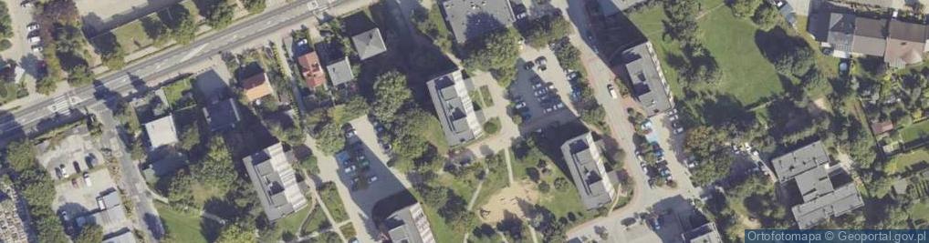 Zdjęcie satelitarne Gospodarstwo Ogrodnicze Dalia Marian Skopiński Leszno