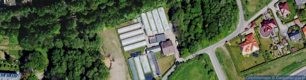 Zdjęcie satelitarne Gospodarstwo Ogrodnicze i Eugieniusz