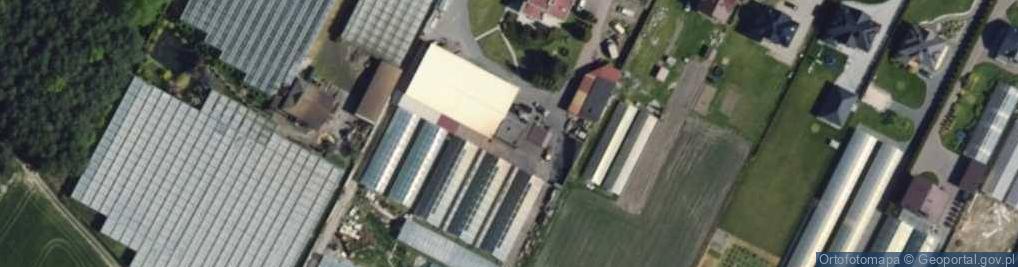 Zdjęcie satelitarne Gospodarstwo Ogrodnicze Jacek Chwalba