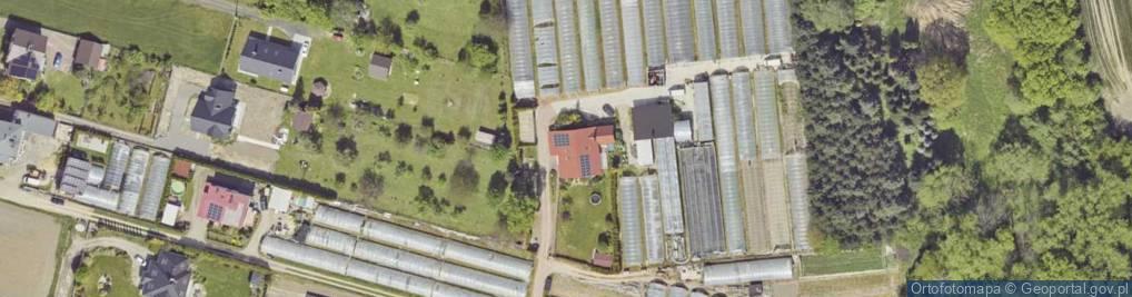 Zdjęcie satelitarne Gospodarstwo Ogrodnicze Kostka Urszula