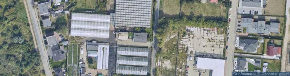 Zdjęcie satelitarne Gospodarstwo Ogrodnicze Łysiak Irena