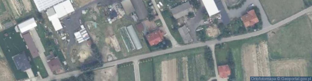 Zdjęcie satelitarne Gospodarstwo Ogrodnicze Piotr Stasiak