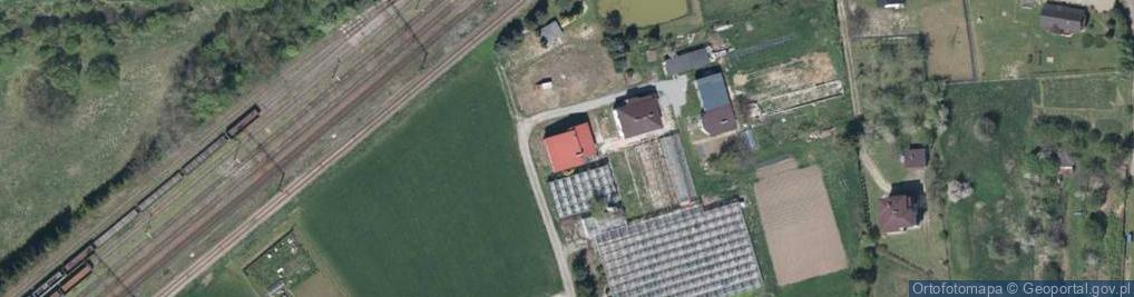 Zdjęcie satelitarne Gospodarstwo Ogrodnicze Rutana Mieczysław