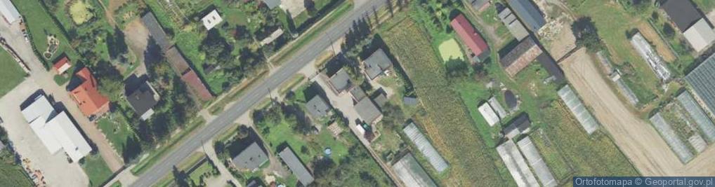 Zdjęcie satelitarne Gospodarstwo Ogrodnicze Urszula Nowak