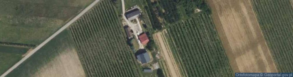 Zdjęcie satelitarne Gospodarstwo Produkcji Szklarniowej
