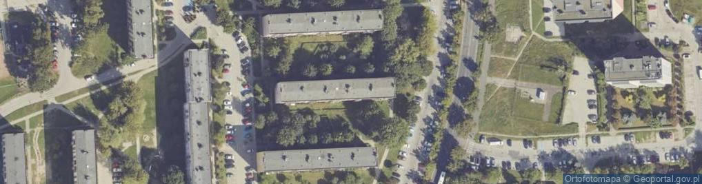 Zdjęcie satelitarne Gospodarstwo Rolne Delta Józef Piotrowski Michał Ratajczak Przemysław Stephan Leszno