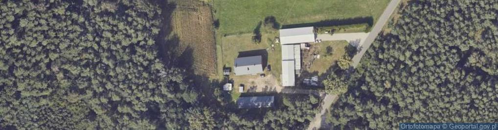 Zdjęcie satelitarne Gospodarstwo Rolne Ferma Drobiu Maciej Sienkiewicz Nowe Tłoki