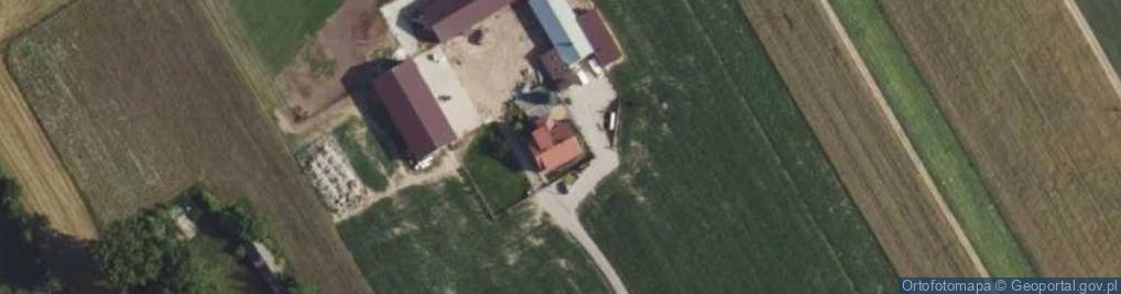 Zdjęcie satelitarne Gospodarstwo Rolne - Grzegorz Prus