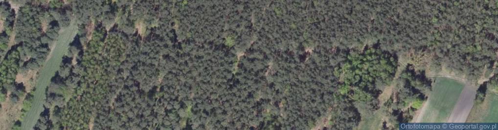 Zdjęcie satelitarne Gospodarstwo Rolne Krzysztof Milaniuk