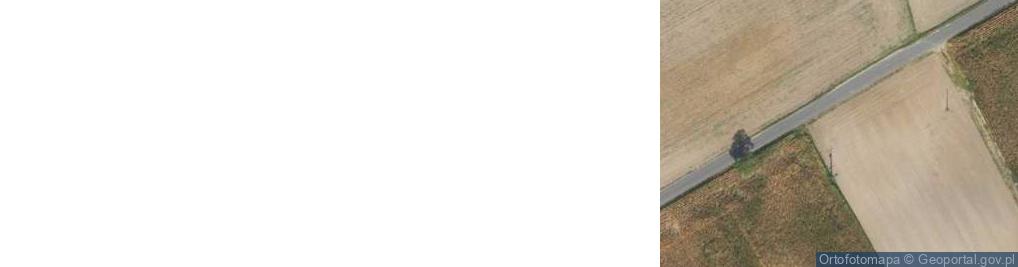 Zdjęcie satelitarne Gospodarstwo Rolne Krzysztof Wiśniewski