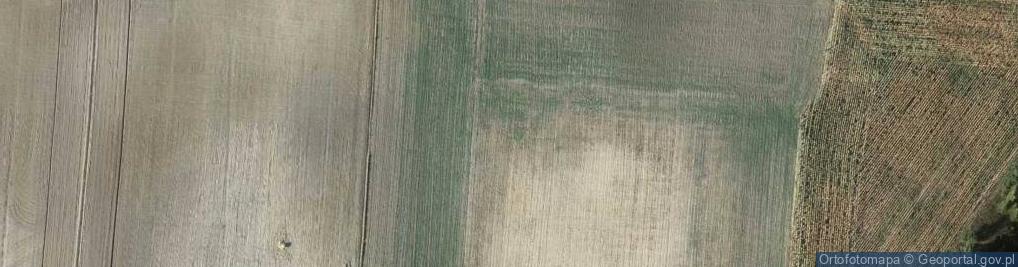 Zdjęcie satelitarne Gospodarstwo Rolne Maciej Łaptuta