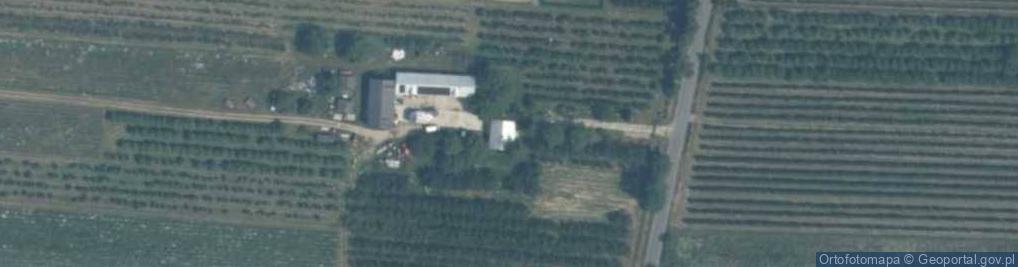 Zdjęcie satelitarne Gospodarstwo Sadownicze Bedyński Piotr