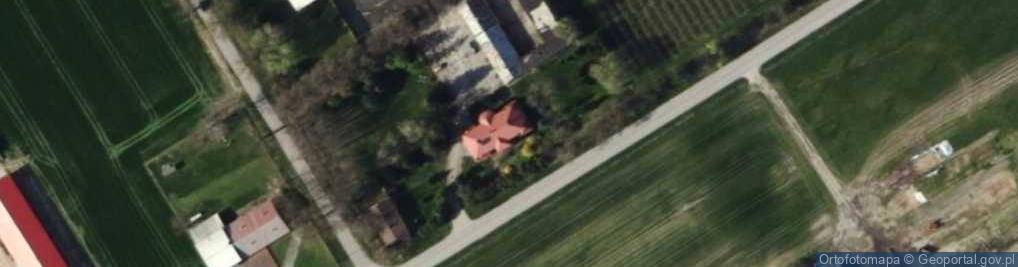 Zdjęcie satelitarne Gospodarstwo Sadownicze Dominika Szmidt