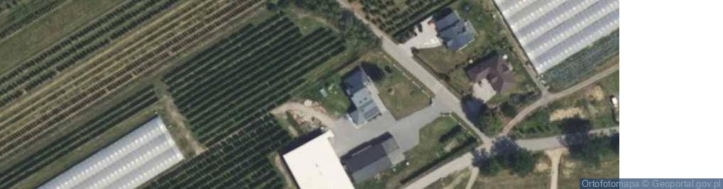 Zdjęcie satelitarne Gospodarstwo Sadownicze Jarosław Skalski