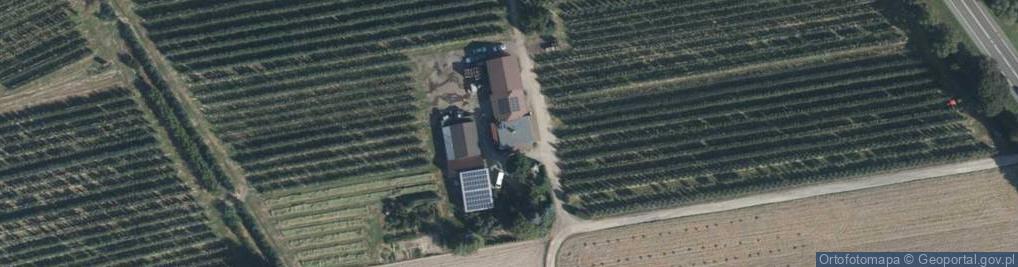 Zdjęcie satelitarne Gospodarstwo Sadownicze Jolanta i Rafał Smyk