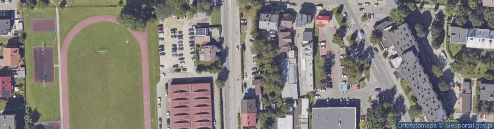 Zdjęcie satelitarne Greenpine