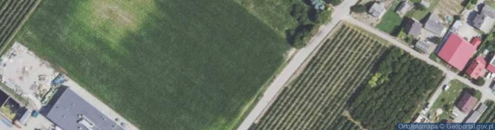 Zdjęcie satelitarne Grupa Sadownicza Owoc Sandomierski Sp. z o.o. w restrukturyzacji