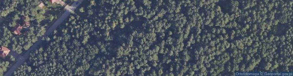 Zdjęcie satelitarne Grzegorz Michalski - Działalność Gospodarcza