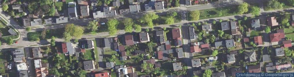 Zdjęcie satelitarne Halina Zdanowska