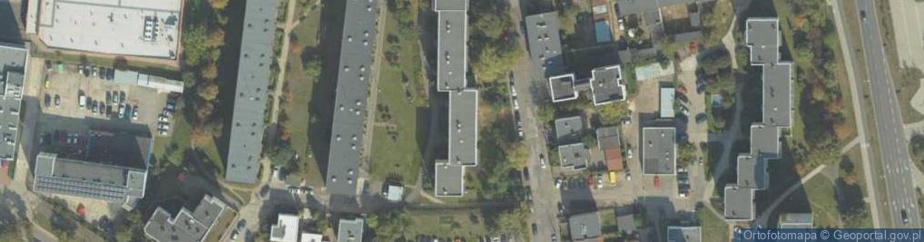 Zdjęcie satelitarne Handel Detaliczny Art Przem Art Spoż Art Rolnymi Witkowski
