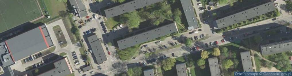 Zdjęcie satelitarne Handel i Usługi Newel Jolanta