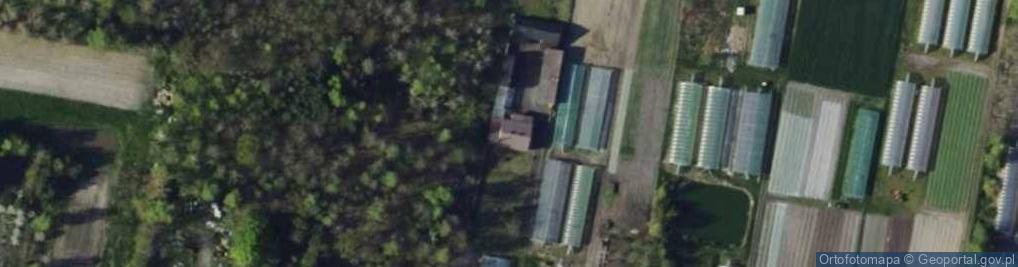 Zdjęcie satelitarne Handel Obwoźny Art Spożywczymi