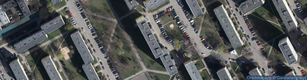 Zdjęcie satelitarne Handel Obwoźny Pawłowska Korzeniewska Elżbieta