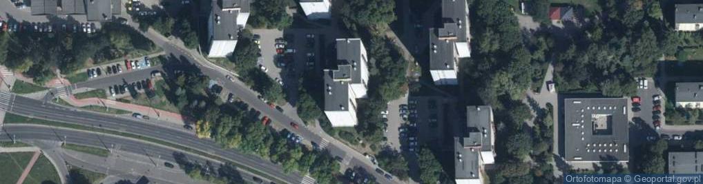 Zdjęcie satelitarne Handel Obwoźny