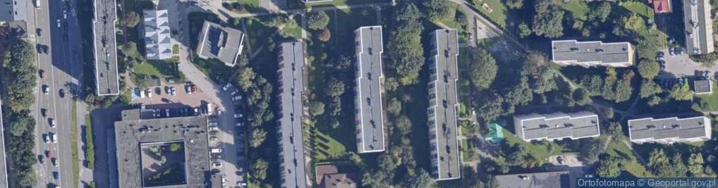 Zdjęcie satelitarne Handel Obwoźny