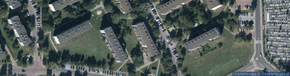 Zdjęcie satelitarne Handel Obwoźny