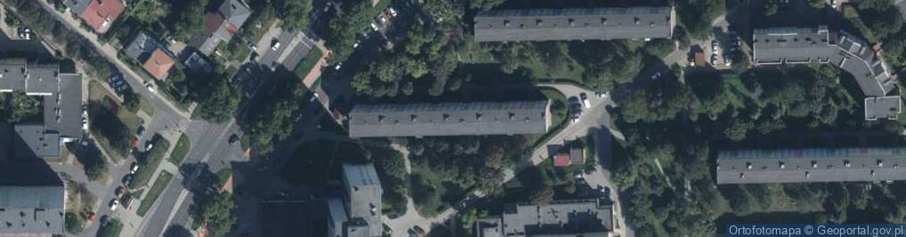 Zdjęcie satelitarne Handel Obwoźny