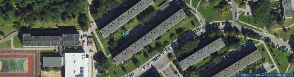 Zdjęcie satelitarne Handel Obwozny
