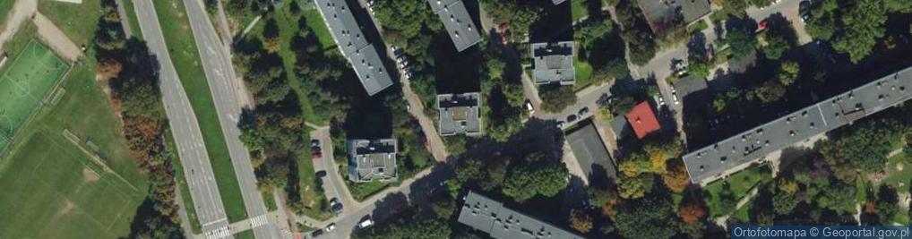Zdjęcie satelitarne Handel Obwoźny