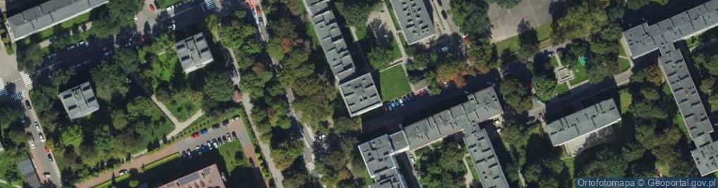 Zdjęcie satelitarne Handel Obwoźny