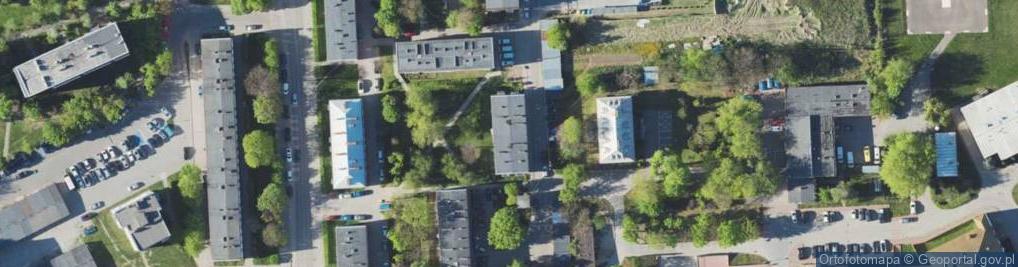 Zdjęcie satelitarne Handel Obwoźny