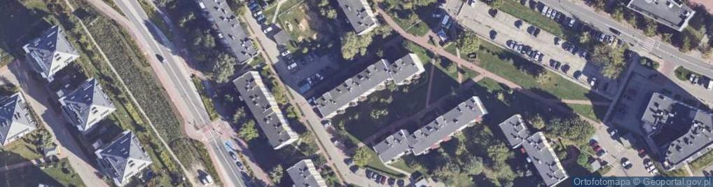 Zdjęcie satelitarne Handel Obwoźny
