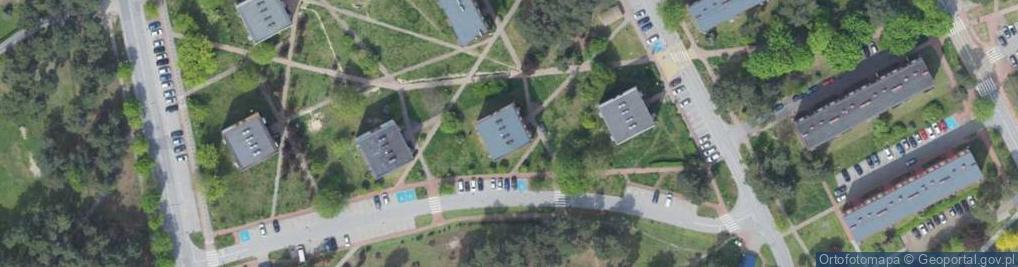 Zdjęcie satelitarne Handel Obwoźny