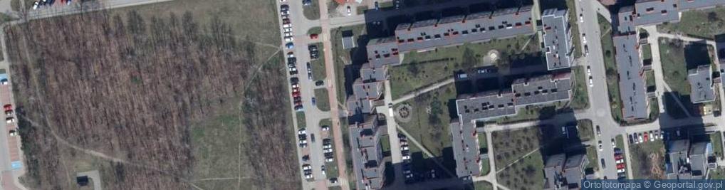 Zdjęcie satelitarne Handel Obwoźny