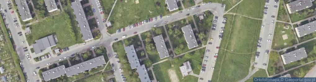Zdjęcie satelitarne Handel Obwoźny