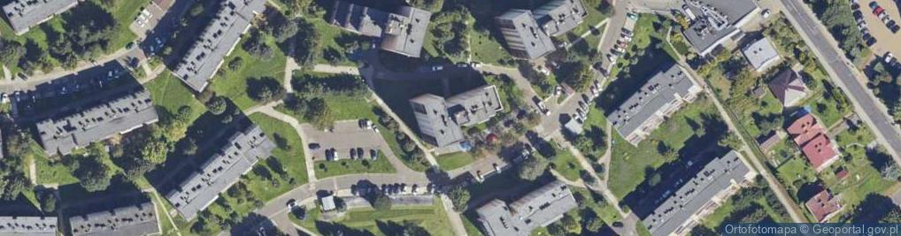 Zdjęcie satelitarne Handel Obwoźny