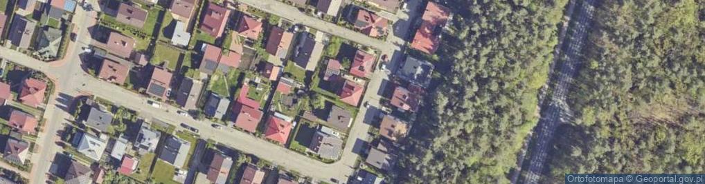 Zdjęcie satelitarne Handel Obwoźny