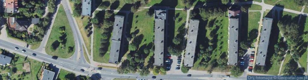 Zdjęcie satelitarne Handel Obwoźny