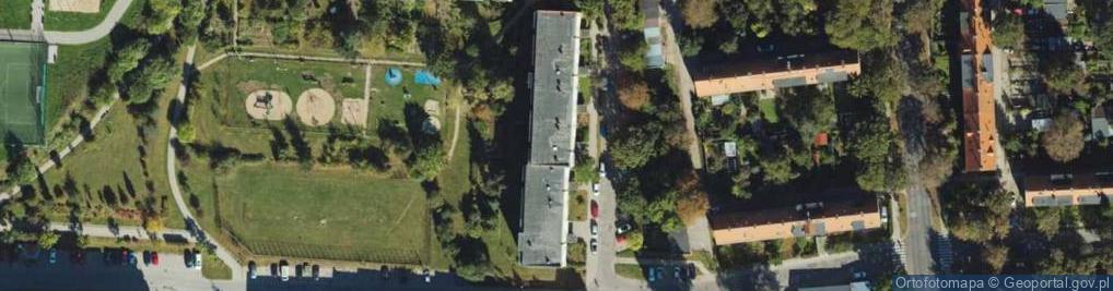 Zdjęcie satelitarne Handel Obwoźny