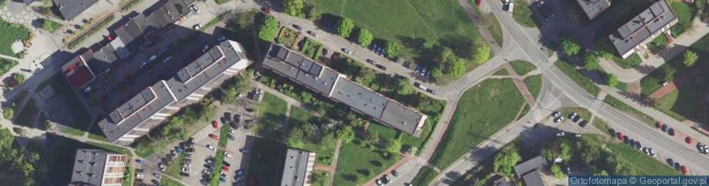 Zdjęcie satelitarne Handel Obwozny