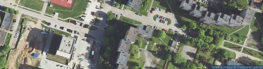 Zdjęcie satelitarne Handel Obwoźny