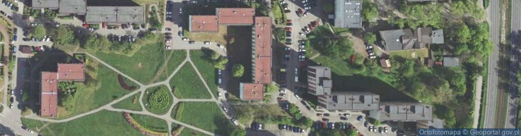 Zdjęcie satelitarne Handel Obwoźny