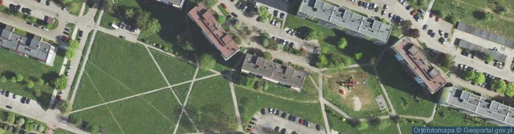 Zdjęcie satelitarne Handel Obwoźny